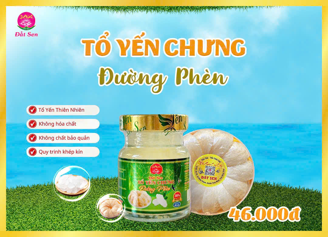 Tổ Yến Chưng Đường Phèn
