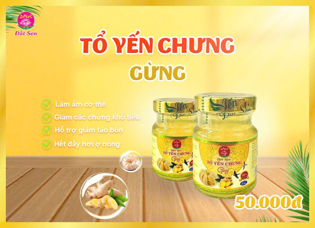 Tổ Yến Chưng Gừng