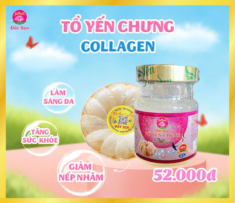 Yến chưng collgen Đất Sen